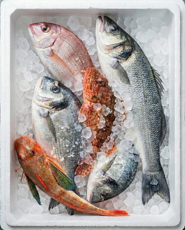 Dal nostro mare, ogni mattina